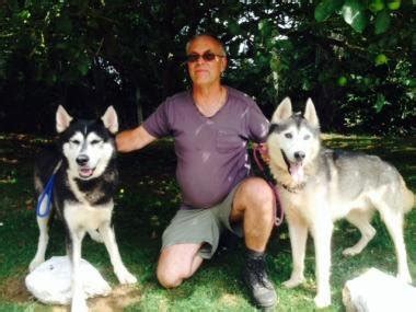 Zeus And Yash Year Old Male Siberian Huskys Available For Adoption