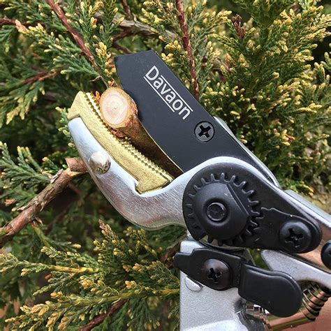 Buy Ergonomic Garden Secateurs Anvil Style Premium Pruning Shears