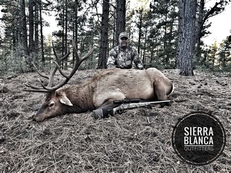 New Mexico Archery Elk Hunting Elk Hunting With Rifle