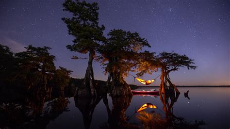 Bing Hd Wallpaper Jul A Hammock In Central Florida Usa