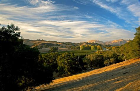 A Beginners Guide to the Best Los Olivos Wineries - WWP