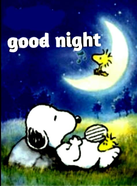 スヌーピー Good Night Snoopy Love Charlie Brown And Snoopy Snoopy And Woodstock Classic Cartoon