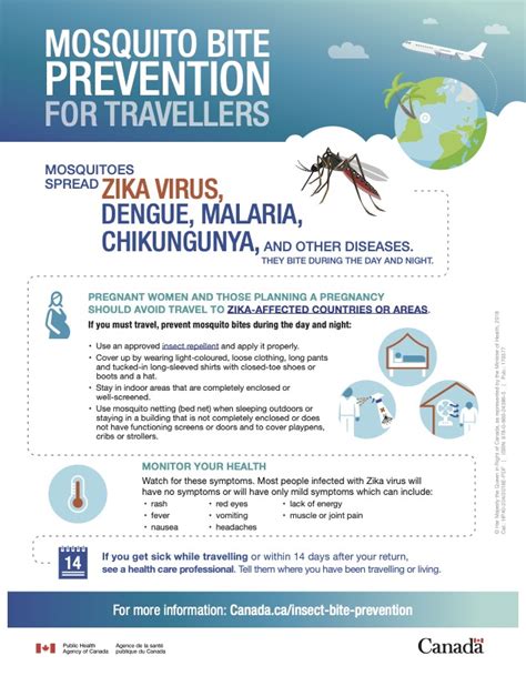 Mosquito Bite Prevention - GlobeTravelHealth.ca