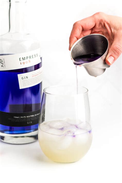 What to Know about Purple Gin and Empress Gin | Feast + West