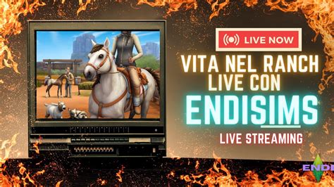 ANALIZZIAMO INSIEME LA LIVESTREAM DI VITA NEL RANCH YouTube