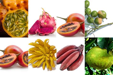 Las Desconocidas Frutas Brasileñas Que Pueden Convertirse, 48% OFF