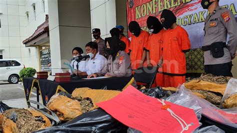 Niat Untuk Pesta Tahun Baru Pengedar Ganja Antarprovinsi Ditangkap