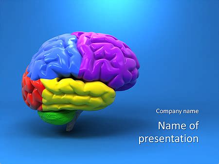 Medical Brain Powerpoint Background