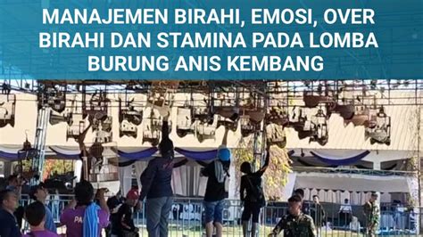 Manajemen Birahi Emosi Over Birahi Dan Stamina Pada Lomba Burung Anis