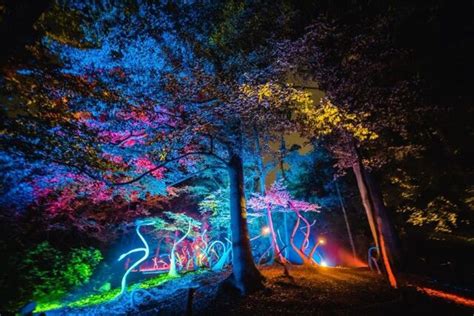 Lichtspektakel De Grote Schijn Dit Najaar Voor Vijfde Keer In Jarig