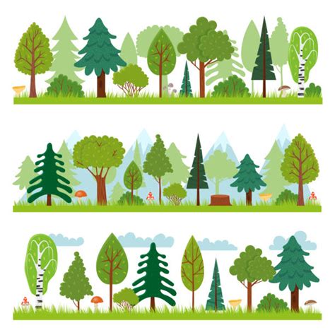 Woodland Animals Set Illustrations Royalty Free Vector Graphics And Clip