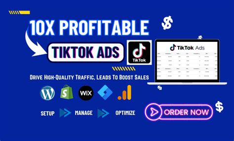 Offer Tik Tok Ads Setup Tiktok Advertising And Optimize Tiktok Ad