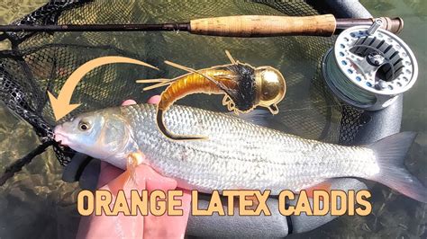 Orange Latex Caddis Larva Nymph For Barbel Nase And Chub Fly Tying