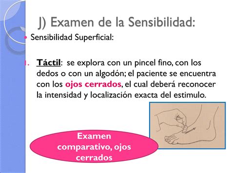 SOLUTION Evaluacion Neurologica Kinesica Fisioterapia Studypool