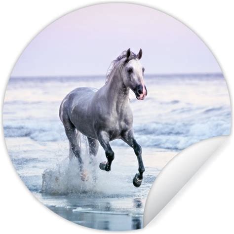 WallCircle Muurstickers Behangcirkel Paarden Lucht Zee