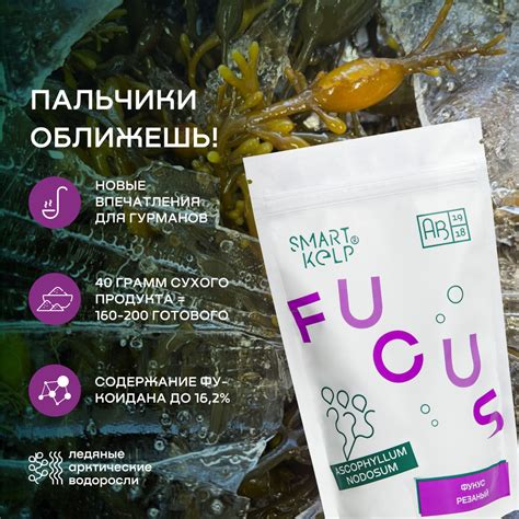 Архангельские морские водоросли пищевые сушеные, морской виноград Фукус ...
