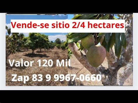 Vende Se Sitio 2 4 Hectares Em Lagoa Seca Pb Valor 120 Mil Zap 83 9