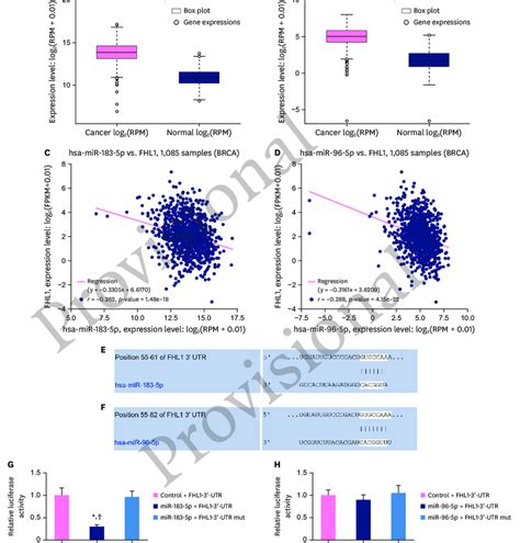 Mir P And Mir P Expression Were Upregulated And Negatively