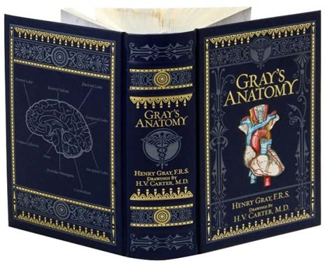 Gray S Anatomy Barnes Noble Collectible Editions By Henry Gray H V