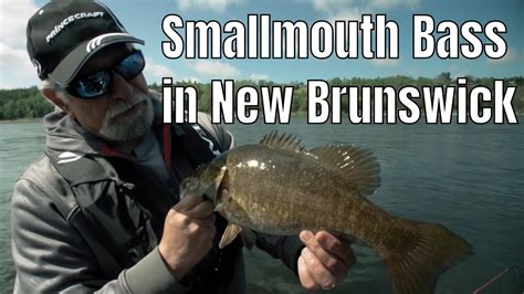 Smallmouth Bass In New Brunswick Fishn Canada Youtube