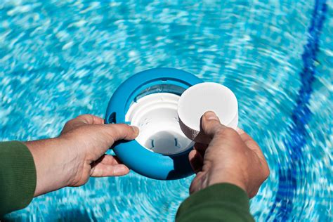 Algae Prevention and Treatment Tips: Ultimate Pool Care Guide