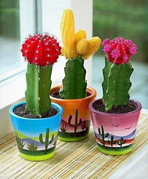 Three Potted Cactus Plants Sitting On Top Of A Window Sill Next To Each