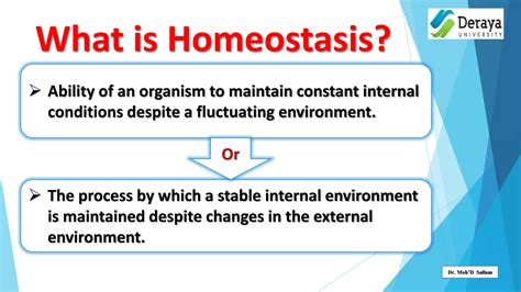 SOLUTION Lecture 2 Homeostasis Studypool