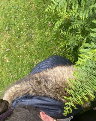 Devon Plymouth Slut Porn Pictures Xxx Photos Sex Images Pictoa