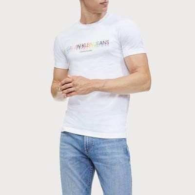 Мужская белая футболка Calvin Klein Pride Logo 21899189-100 купить в ...