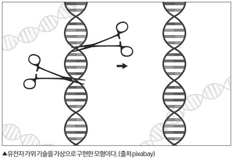 기사보기