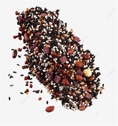 Grains Entiers Png Grains Entiers Png Sant Sant Image Png Pour