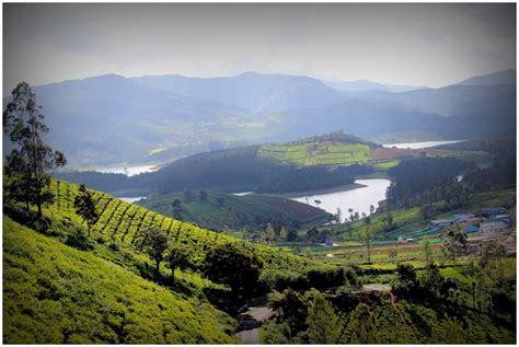 Journey with my Camera: Avalanche Lake - Ooty