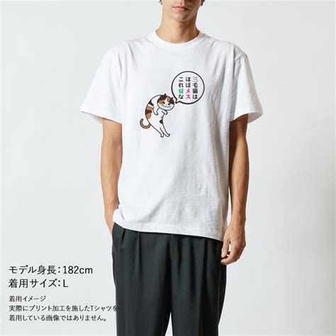 おもしろtシャツ メンズ レディース キッズ 面白 猫 ネコ ねこ 文字 ジョーク パロディ 三毛猫はほぼメス 雑学 かわいい イラスト 半袖