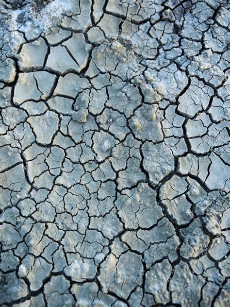 dry cracked mud  stock photo