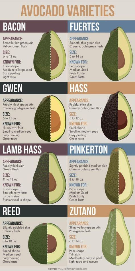 9 Best Avocado varieties ideas in 2021 | avocado varieties, avocado, avocado types