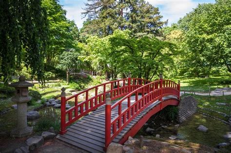 Traditional Japanese Garden Bridge