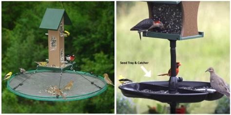 12 Tips for Squirrel-Proof Bird Feeders | Feeding Birds