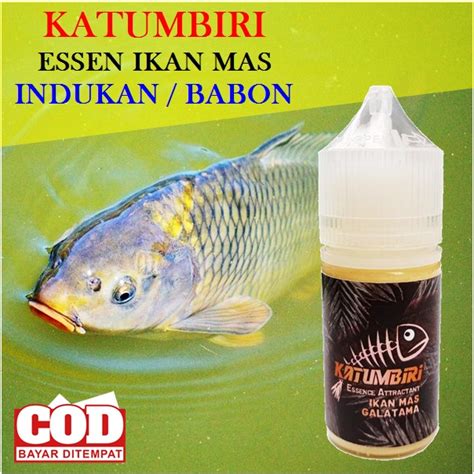 Jual KATUMBIRI Essen Ikan Mas Khusus Indukan Babon Lomba Galatama