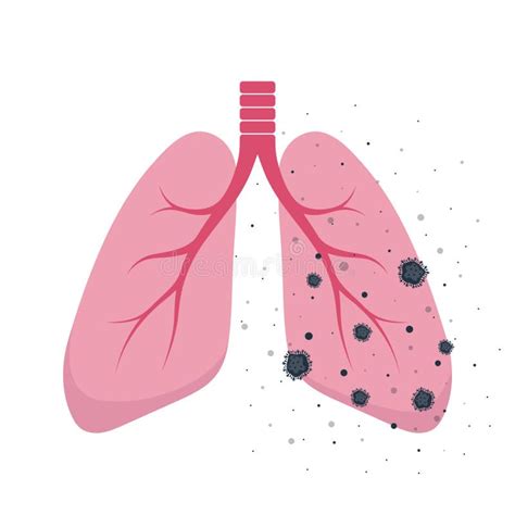 Pulmones Humanos Sanos Icono Plano De Pulmones Ilustraci N De Dibujos