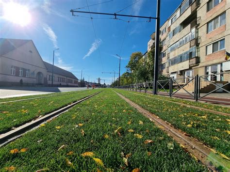 Pe verde A început înierbarea între șinele de tramvai în zona Nufărul