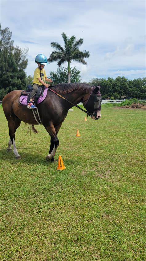 Horseback Riding Lessons – FAMILY HORSE ACADEMY