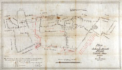 A Map Of Radical Bewilderment