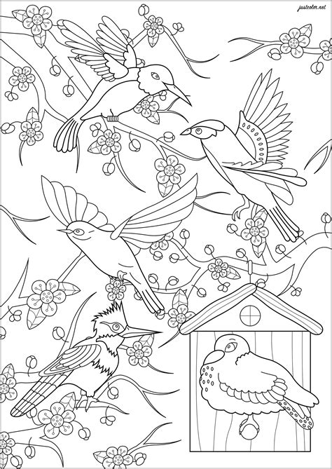 Malbuch Fur Erwachsene Eindrucksvolle Tiermuster 11