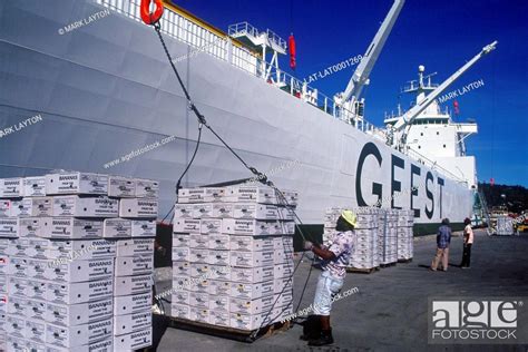 Geest banana boat loading boxes of bananas at the quayside, Stock Photo ...