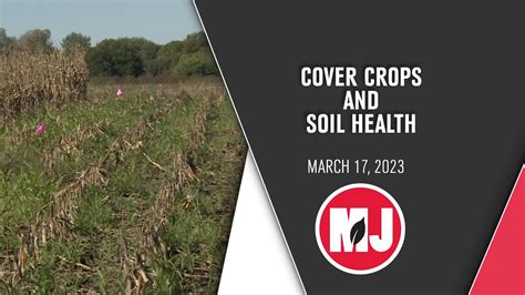 Crop Talk Cover Crops And Soil Health March 17 2023 Youtube