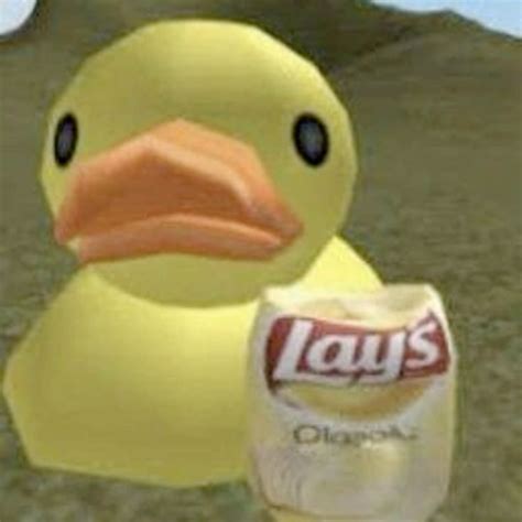 Cute Ducky Eating Lays