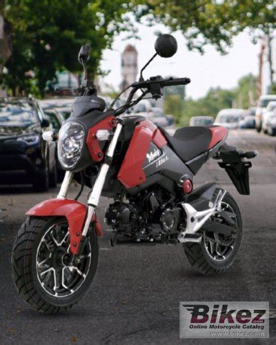 2020 Dinamo Monkey 125 Specifications And Pictures