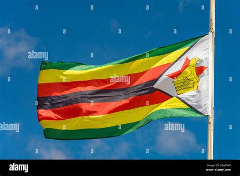 Zimbabwean bird on flag hi-res stock photography and images - Alamy