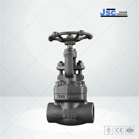 Forged Steel Globe Valve Manufacturer China Jsc