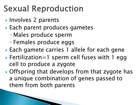 Activity 60 Genes And Traits Ppt Download